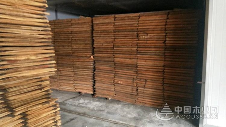 喜報(bào)捷傳 正立高效旋切板烘干機(jī)榮獲國家專利